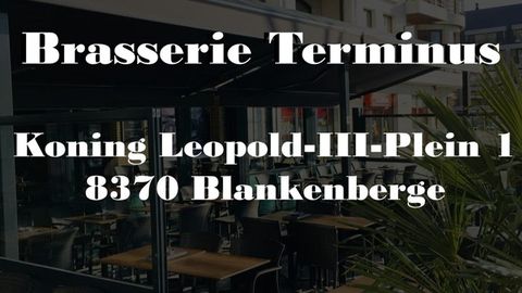 Logo Brasserie Terminus
